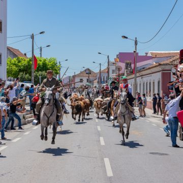 Ascensão é na Chamusca