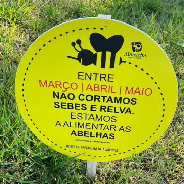 Câmara e Junta não cortam relva
