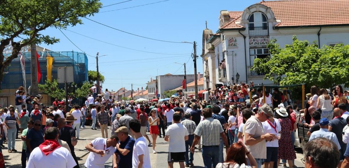 Milhares de pessoas assistem à entrada de toiros na Chamusca Milhares de pessoas assistem à entrada de toiros na Chamusca