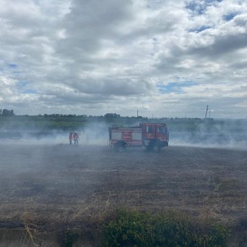 Queimada não autorizada leva a mobilização dos Bombeiros na Tapada Queimada não autorizada leva a mobilização dos Bombeiros na Tapada
