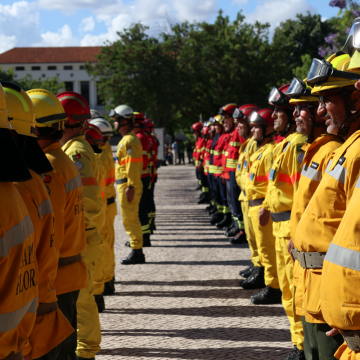 Milhares de operacionais destacados face a aumento de risco de incêndio Milhares de operacionais destacados face a aumento de risco de incêndio