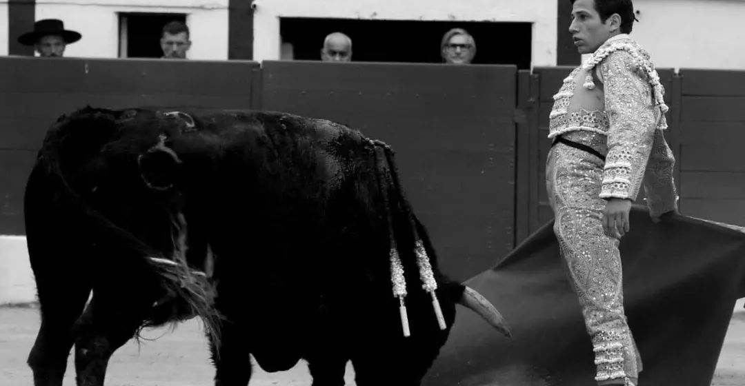 Diogo Peseiro no concurso de novilhadas noturnas na Praça de Las Ventas, Madrid Diogo Peseiro no concurso de novilhadas noturnas na Praça de Las Ventas, Madrid