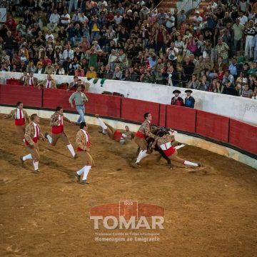 Forcado almeirinense protagoniza pega monumental na Praça de Touros de Tomar (c/vídeo) Forcado almeirinense protagoniza pega monumental na Praça de Touros de Tomar (c/vídeo)